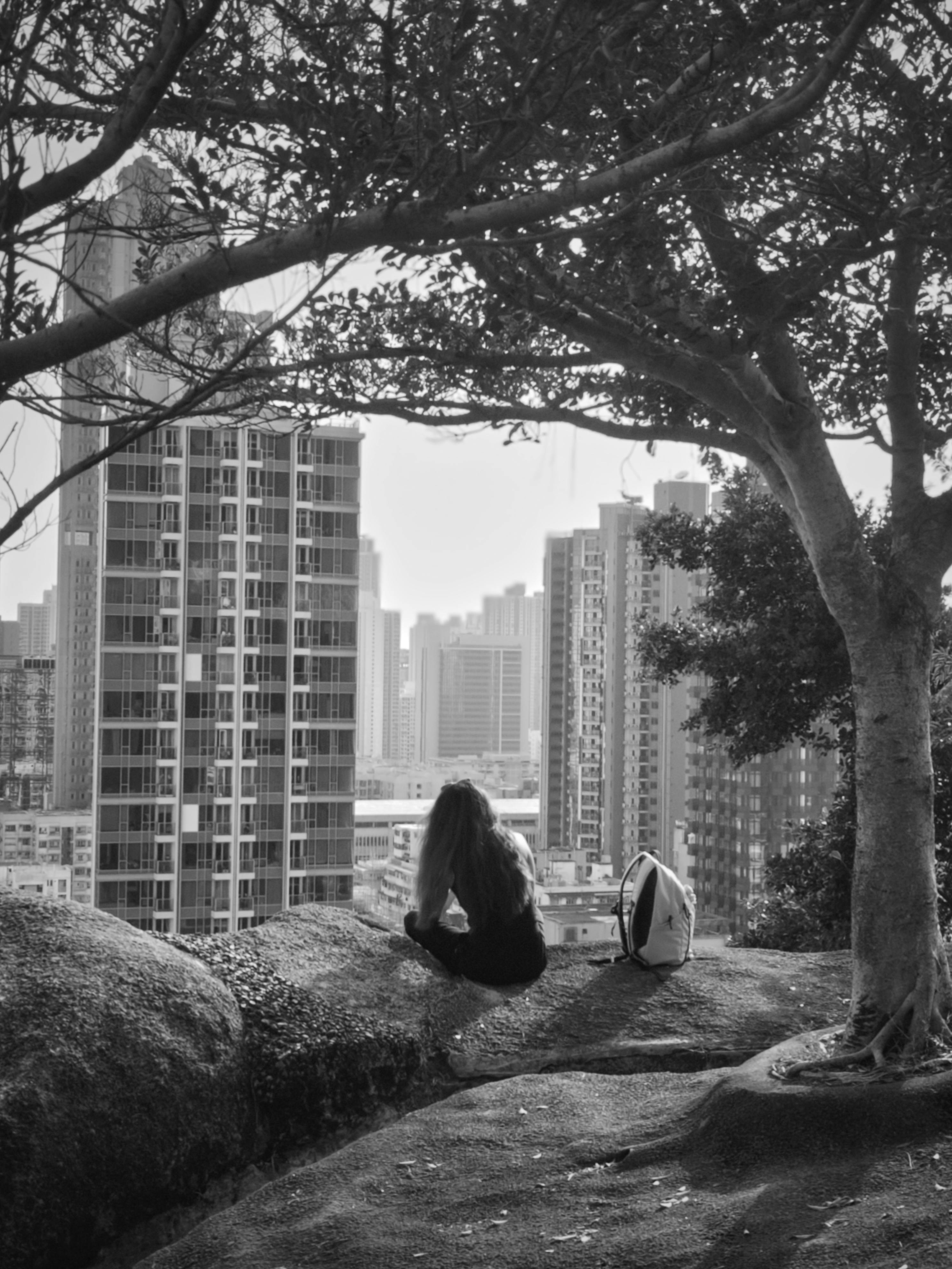 众志成城 爱汇香江——香港大埔火灾救援善后侧记 - 图片1